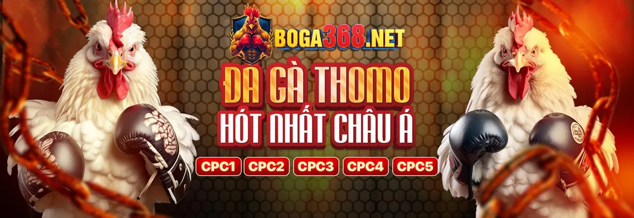Đá gà trực tuyến 13win1 với khuyến mãi 2026 hấp dẫn